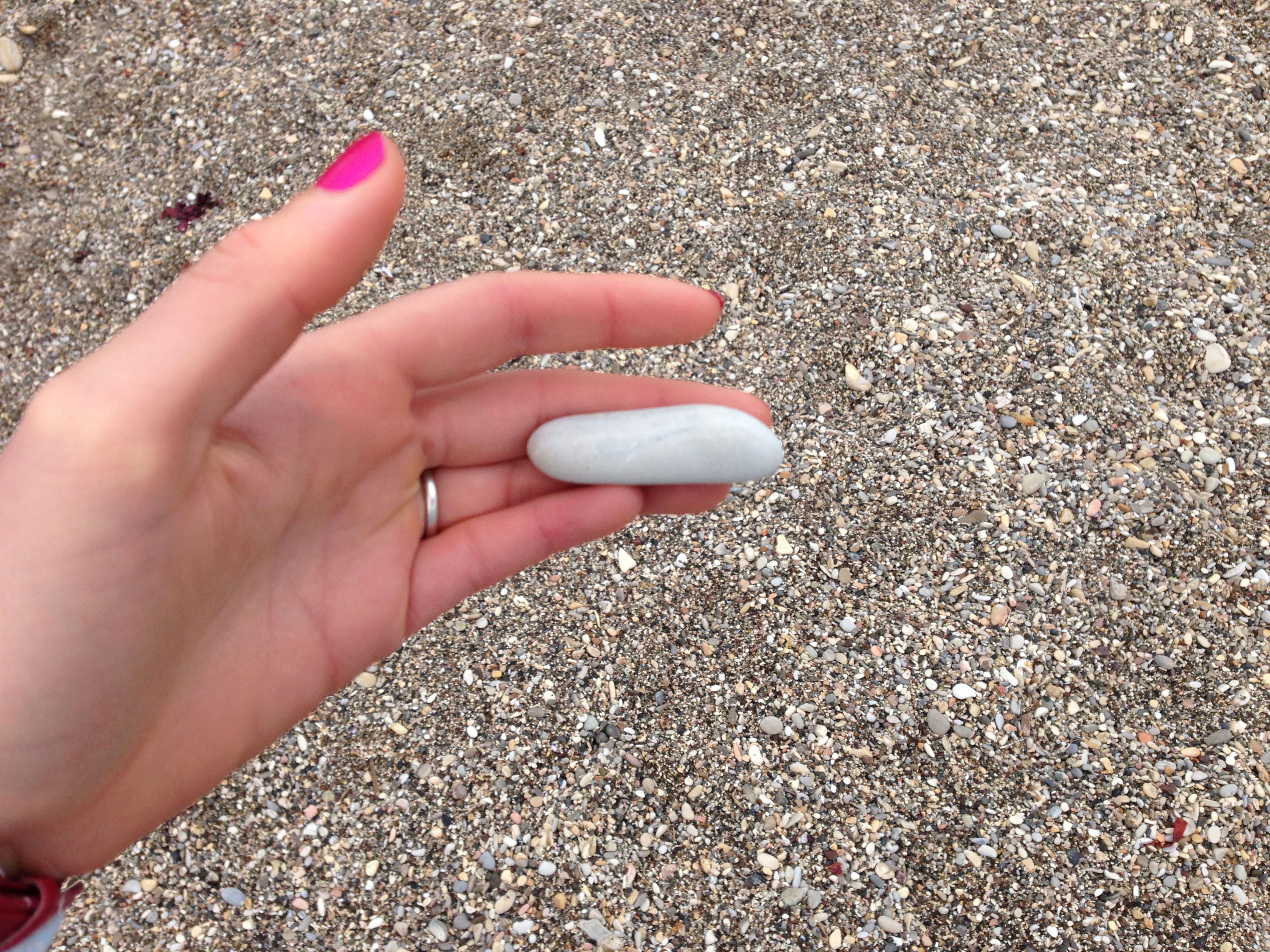 Bizarre fingerlet shell/sea object