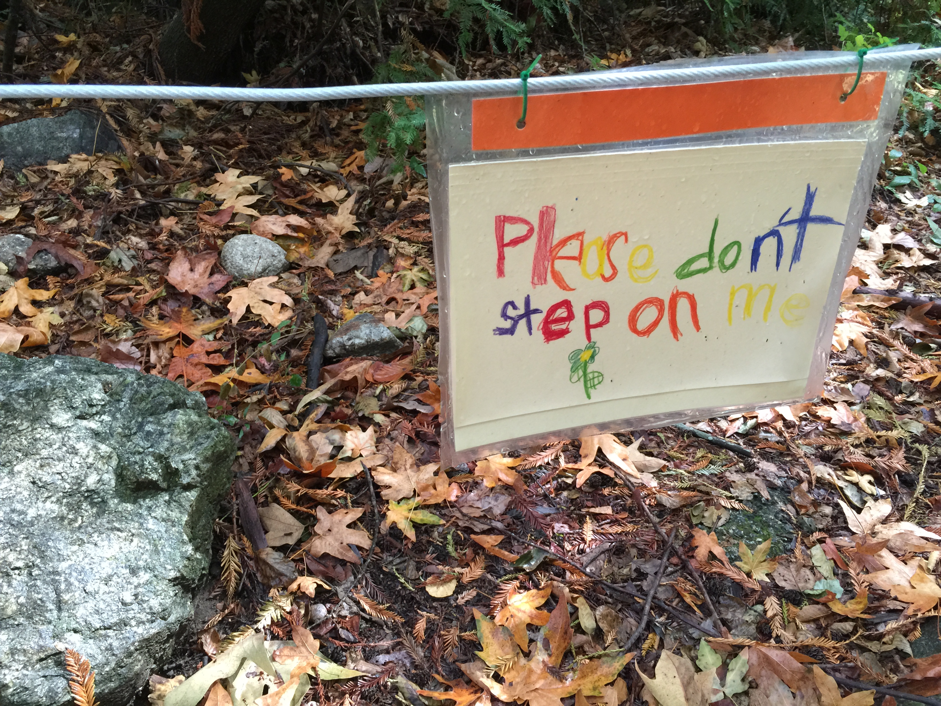 Oh dear. Children and their early attempts at art and graphic design are adorable, sure, but I found these ever-present kiddie-made warning signs too manipulatively  cloying. But I guess in this era of Sean Parker weddings, you have to protect the landscape somehow.